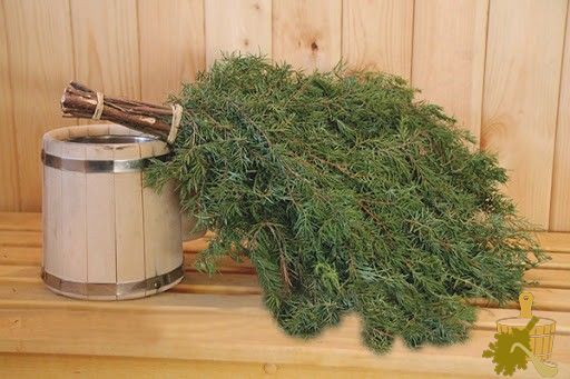 Пихтовый веник для бани: особенности среза, заготовки, хранения, распаривания и использования