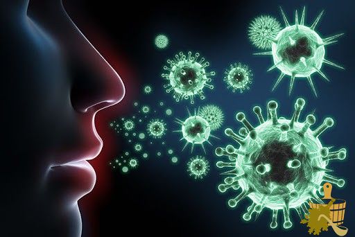 Пихтовый веник для бани: особенности среза, заготовки, хранения, распаривания и использования