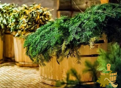 Пихтовый веник для бани: особенности среза, заготовки, хранения, распаривания и использования