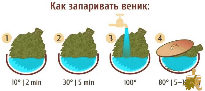 Запарить веник: как избежать ошибок