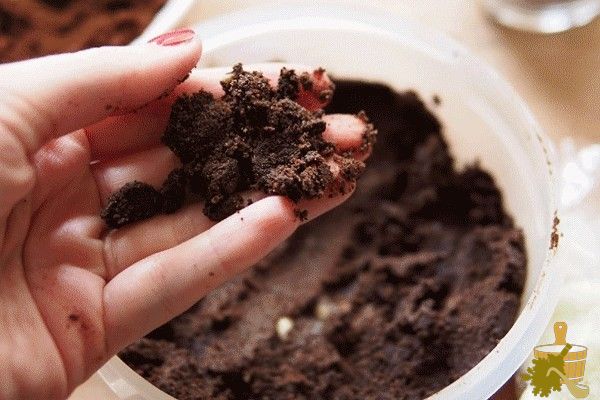 Худеем с комфортом: эффективные обёртывания в бане (обёртывания, бане) Худеем с комфортом: эффективные обёртывания в бане