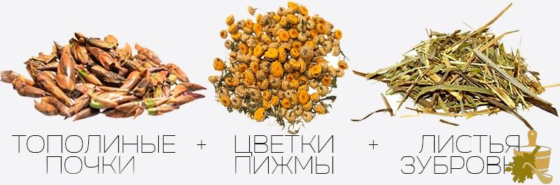Рецепты ароматного пара в бане