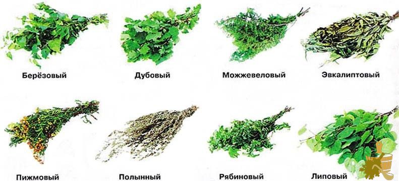 Веники для бани: самый главный инструмент (веники, бани, самый, инструмент) Веники для бани: самый главный инструмент