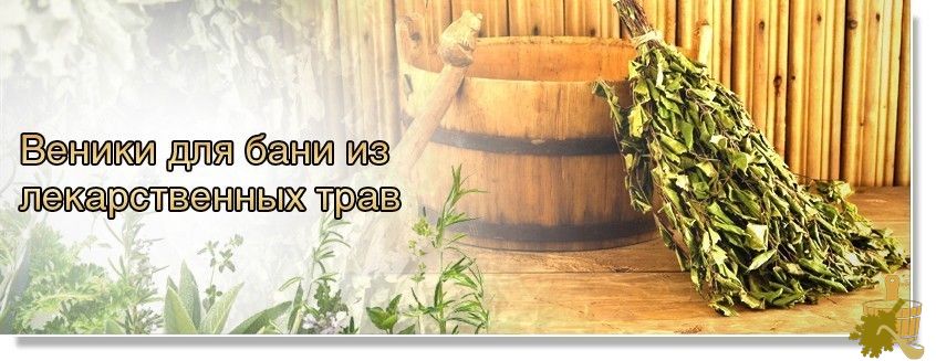 Веники для бани: самый главный инструмент (веники, бани, самый, инструмент) Веники для бани: самый главный инструмент