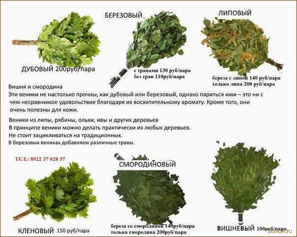 (березовые, веники, бани, правила, сбора) Березовые веники для бани: правила сбора, сушки и хранения