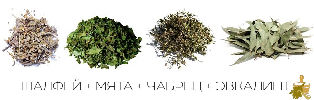 Запарки для бани: правила выбора и заготовки растений для вкусного и полезного пара