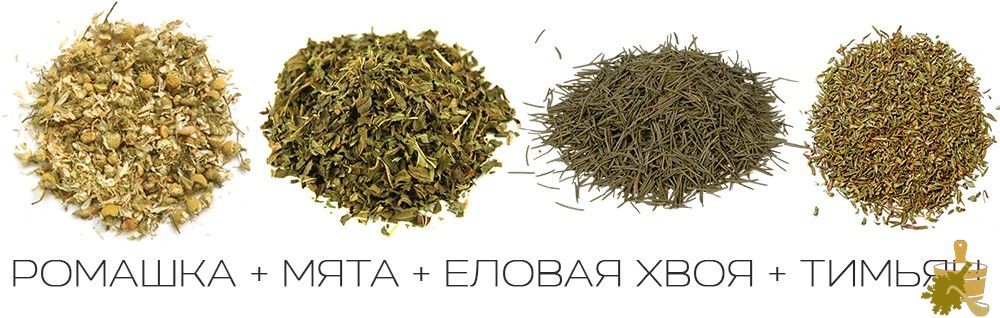 Запарки для бани: правила выбора и заготовки растений для вкусного и полезного пара