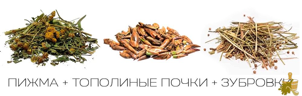 Запарки для бани: правила выбора и заготовки растений для вкусного и полезного пара