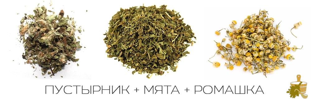 Запарки для бани: правила выбора и заготовки растений для вкусного и полезного пара