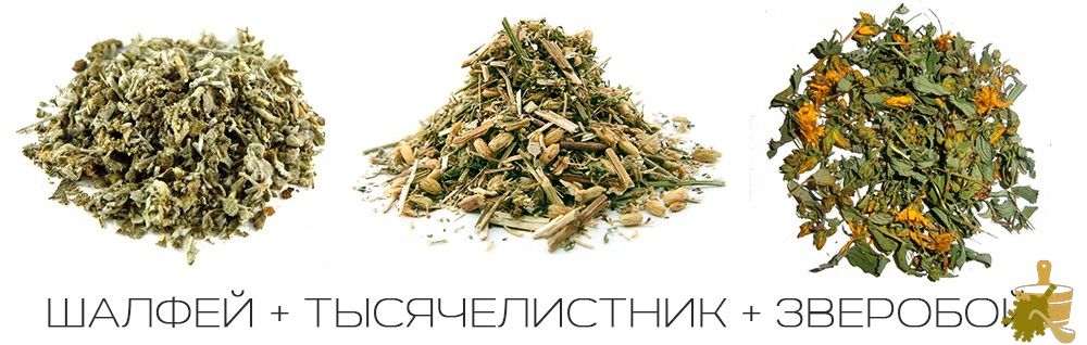Запарки для бани: правила выбора и заготовки растений для вкусного и полезного пара