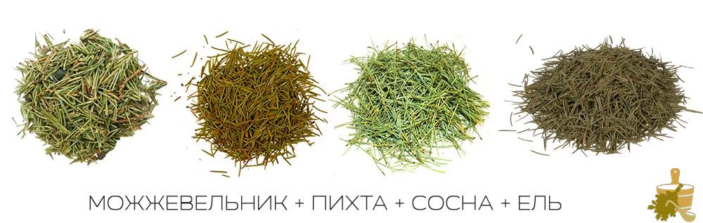 Запарки для бани: правила выбора и заготовки растений для вкусного и полезного пара