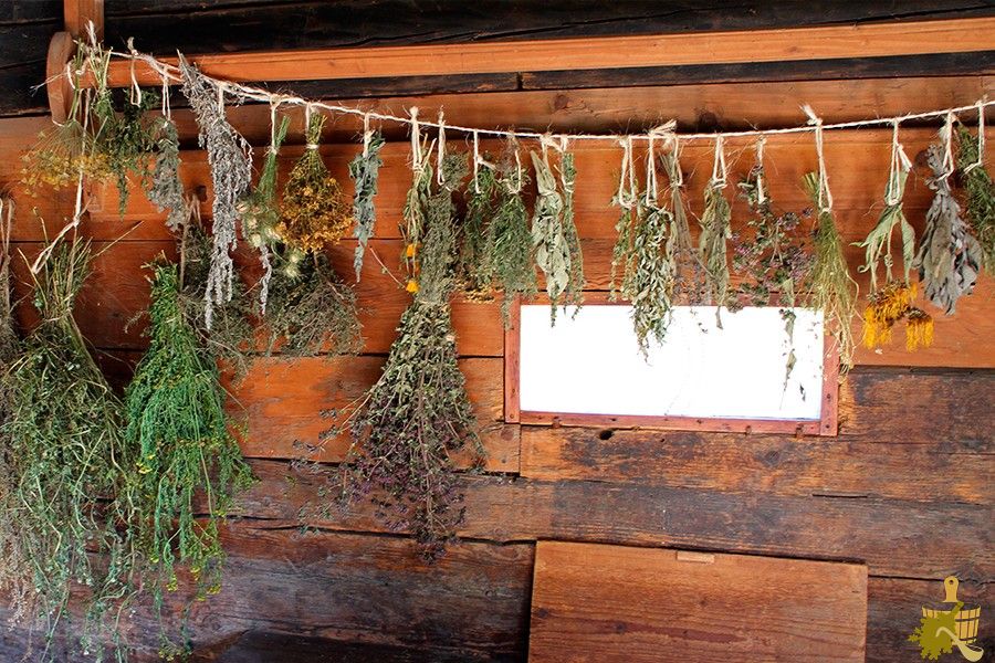 Запарки для бани: правила выбора и заготовки растений для вкусного и полезного пара
