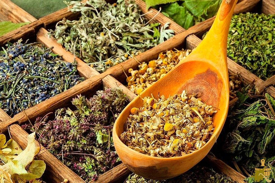 Запарки для бани: правила выбора и заготовки растений для вкусного и полезного пара