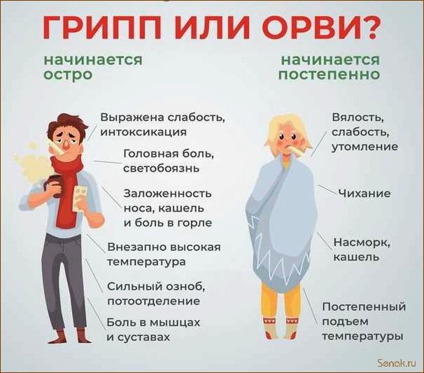 (правила, посещения, бани, простуде) Правила посещения бани при простуде