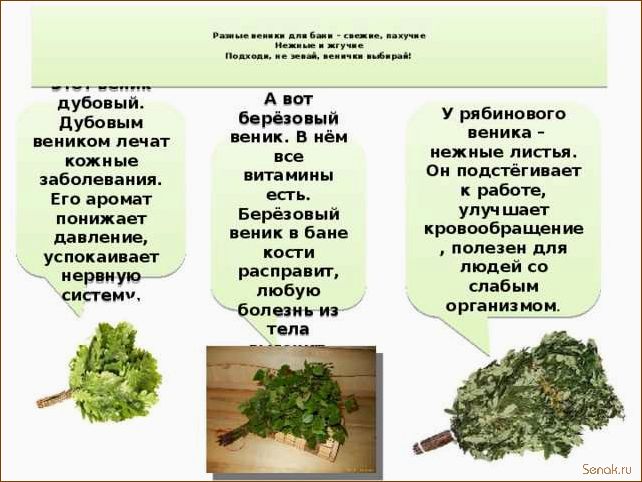 (веник, бани, материалы, полезные, свойства) Веник для бани: материалы и полезные свойства