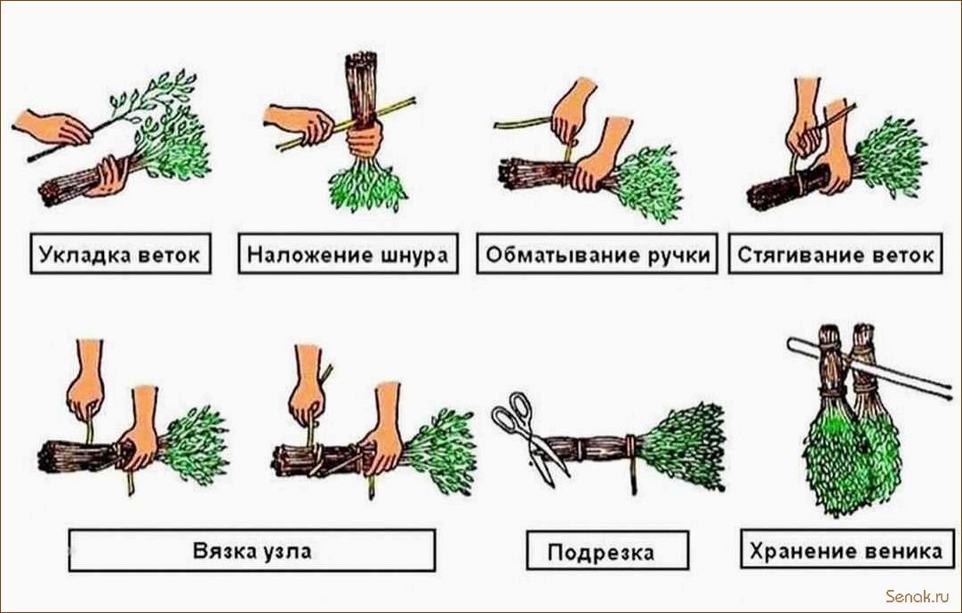 (веник, бани, материалы, полезные, свойства) Веник для бани: материалы и полезные свойства