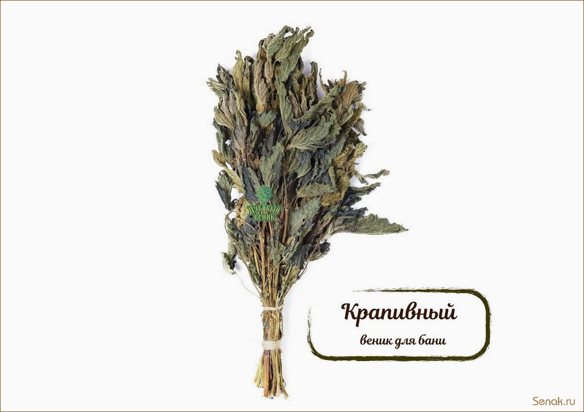(веник, крапивы, бани, преимущества, правила) Веник из крапивы для бани: преимущества и правила использования