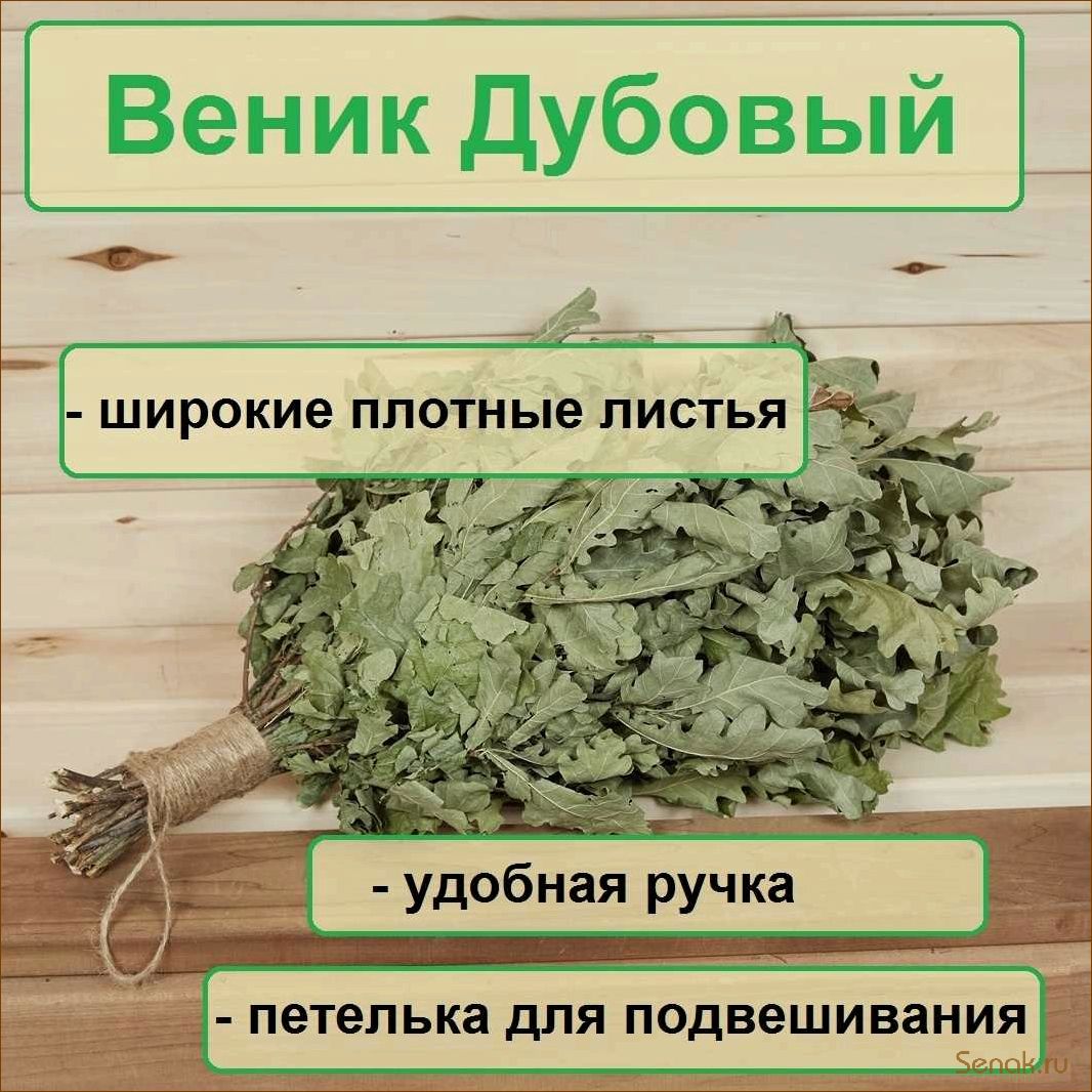 Польза дубового веника для бани