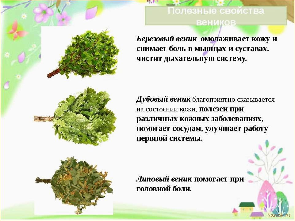 (запарить, веник, березы, бани) Как запарить веник из березы для бани?