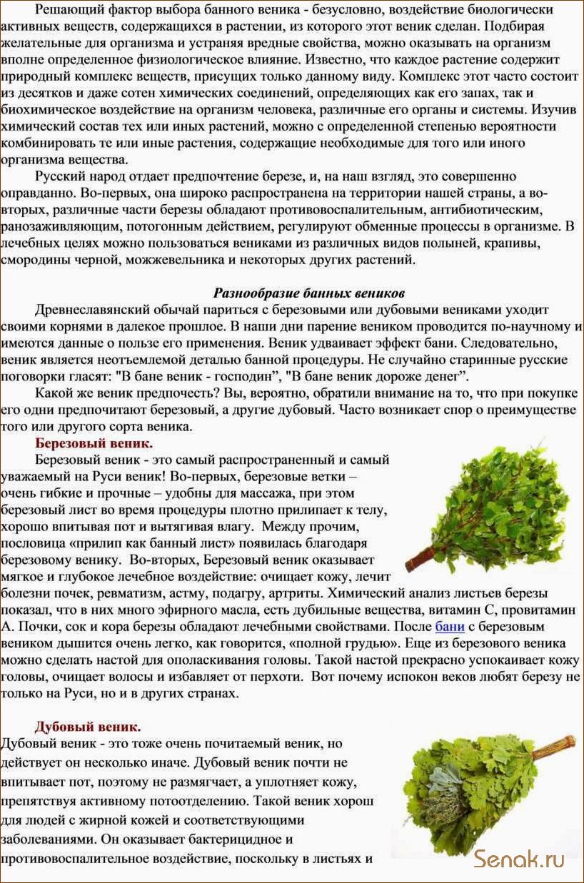 (запарить, веник, березы, бани) Как запарить веник из березы для бани?
