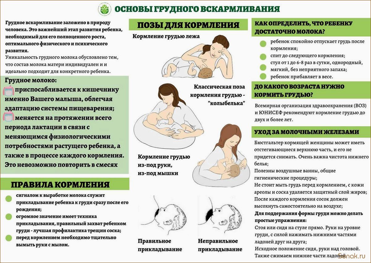 (кормящим, баню, сауну, лактации) Можно ли кормящим в баню, в сауну при ГВ, при лактации, можно ли при кормлении
