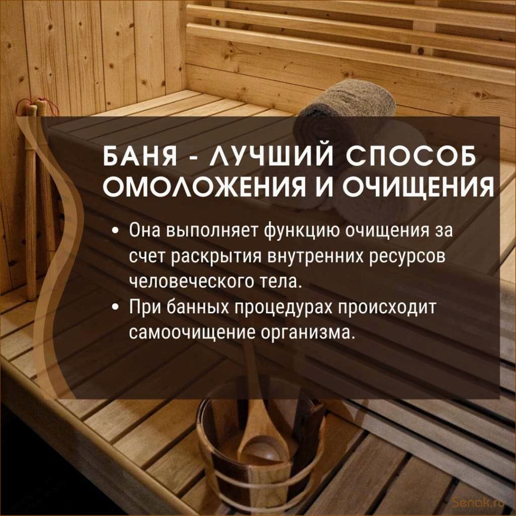 (баня, идеальное, место, отдыха, восстановления) Баня — идеальное место для отдыха и восстановления