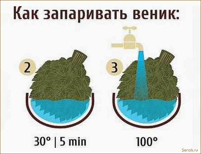 (запарить, веник, бани, правильно) Как запарить веник для бани правильно