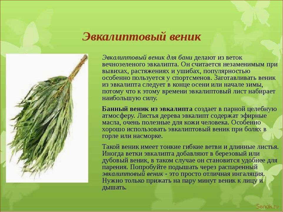 (запарить, веник, бани, правильно) Как запарить веник для бани правильно