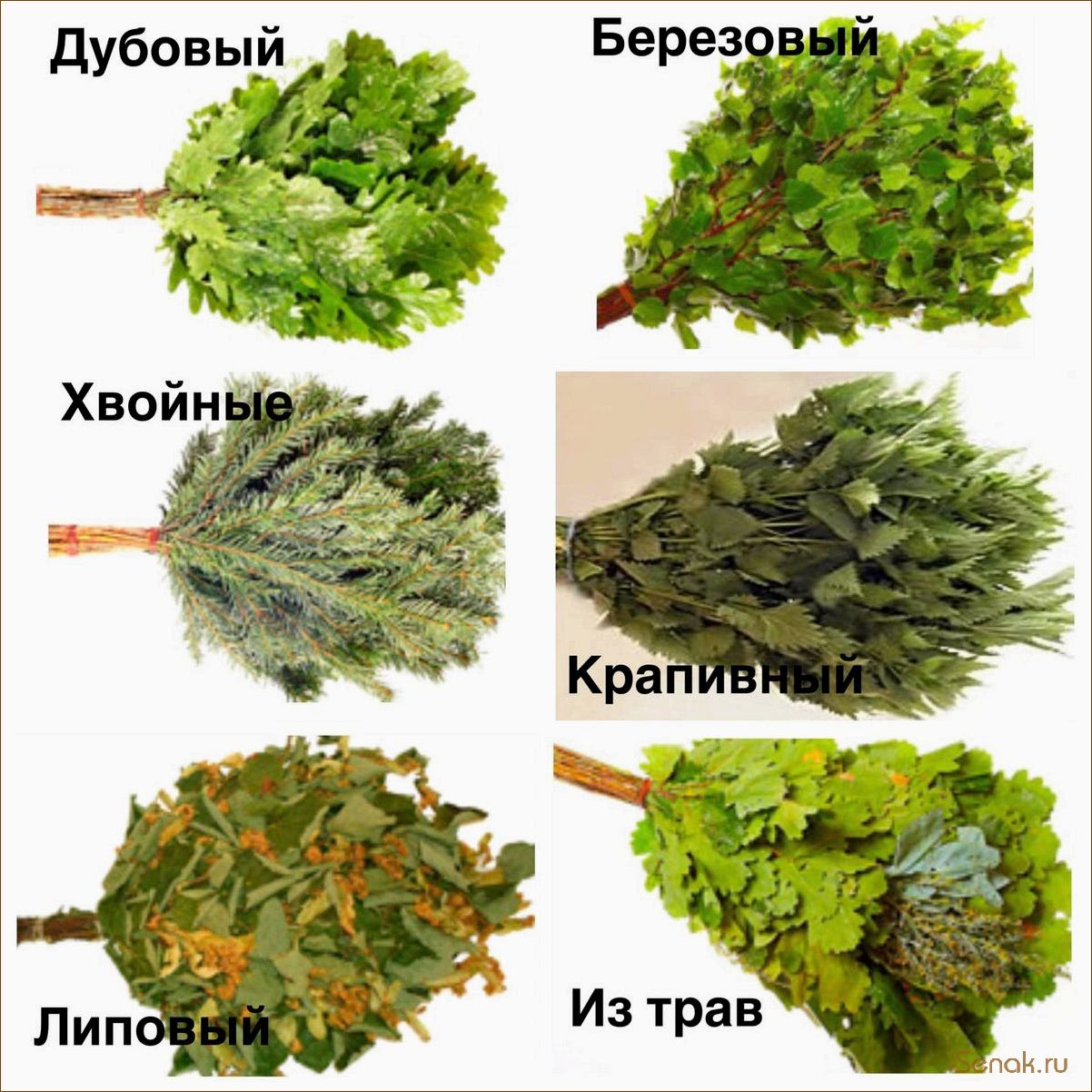 Выбор и применение веника для бани