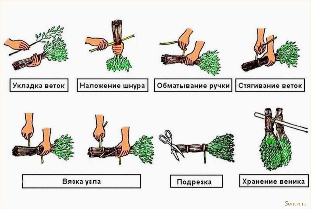 Выбор и применение веника для бани