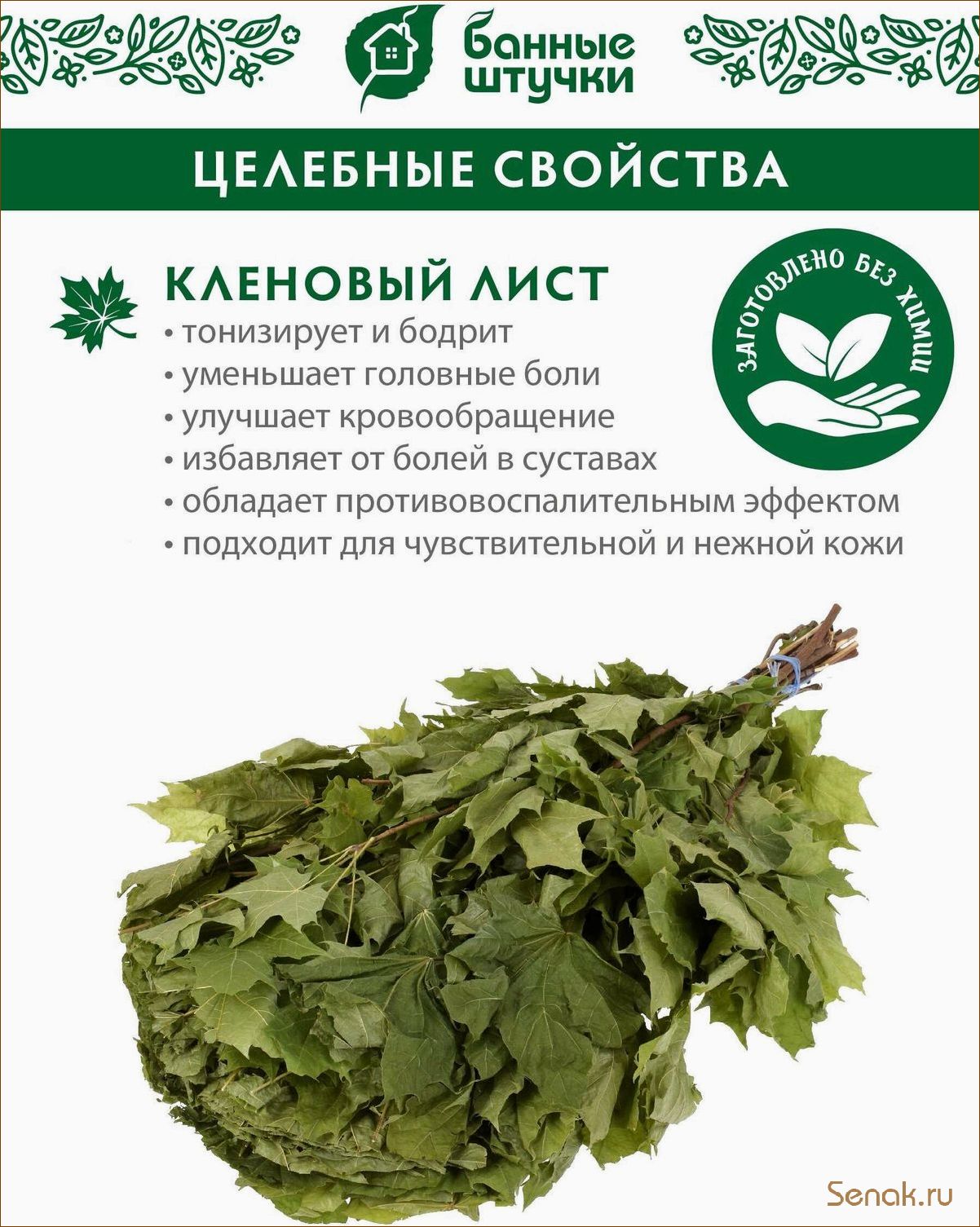 Веники из клена для бани — полезные свойства и применение