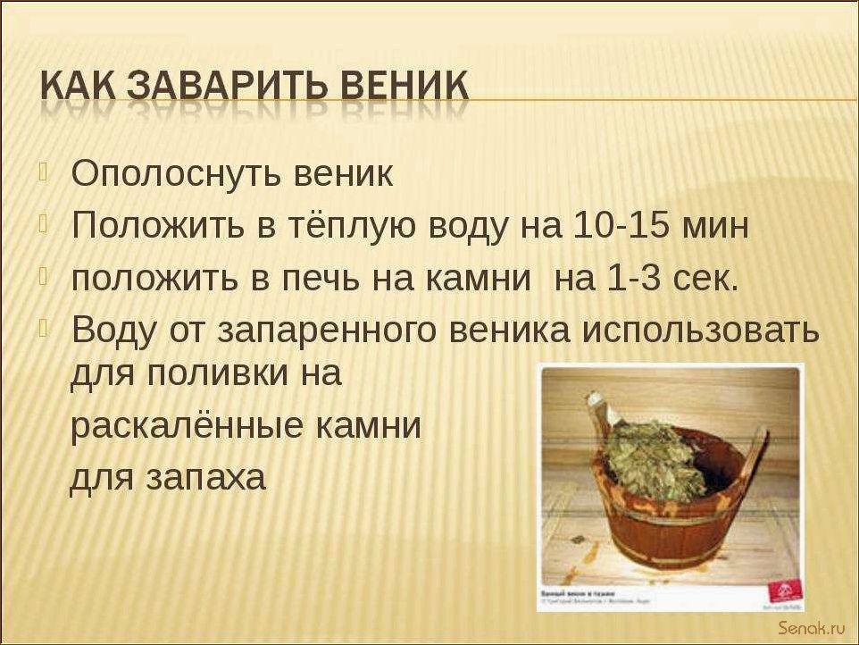 (правильно, запарить, дубовый, веник, бани) Как правильно запарить дубовый веник для бани: советы и рекомендации банщиков