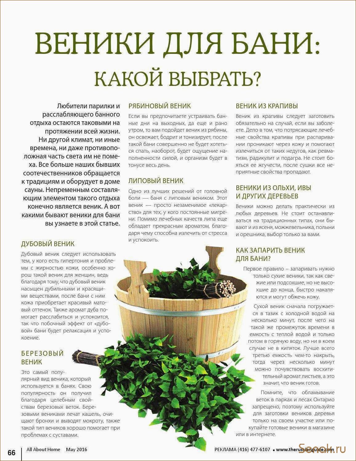 (правильно, заготовить, веники, бани, сроки) Как правильно заготовить веники для бани: сроки и основные правила