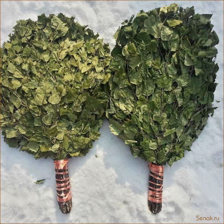 (березовых, вениках) Все о березовых вениках