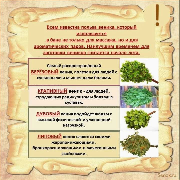 Польза русской бани