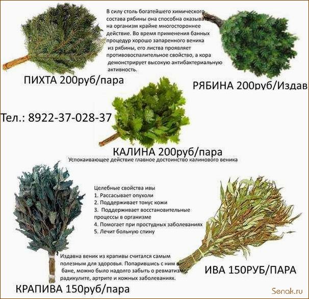 (банные, веники, виды, заготовка, хранение) Банные веники: виды, заготовка и хранение