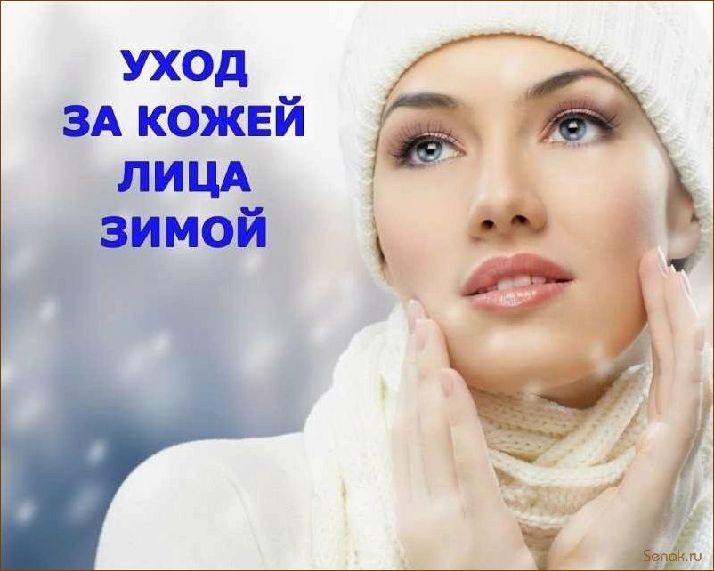 (сохранить, здоровую, кожу, лица, зимой) Как сохранить здоровую кожу лица зимой — особенности банных процедур для ухода за кожей в холодное время года