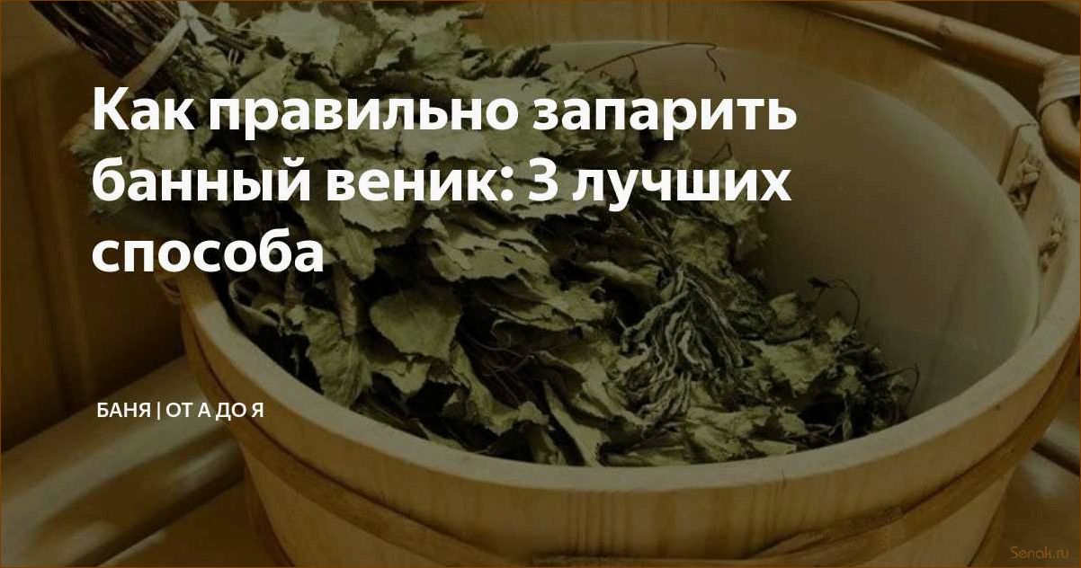 Как правильно запарить березовый веник для бани: запаривание, замачивание и заваривание