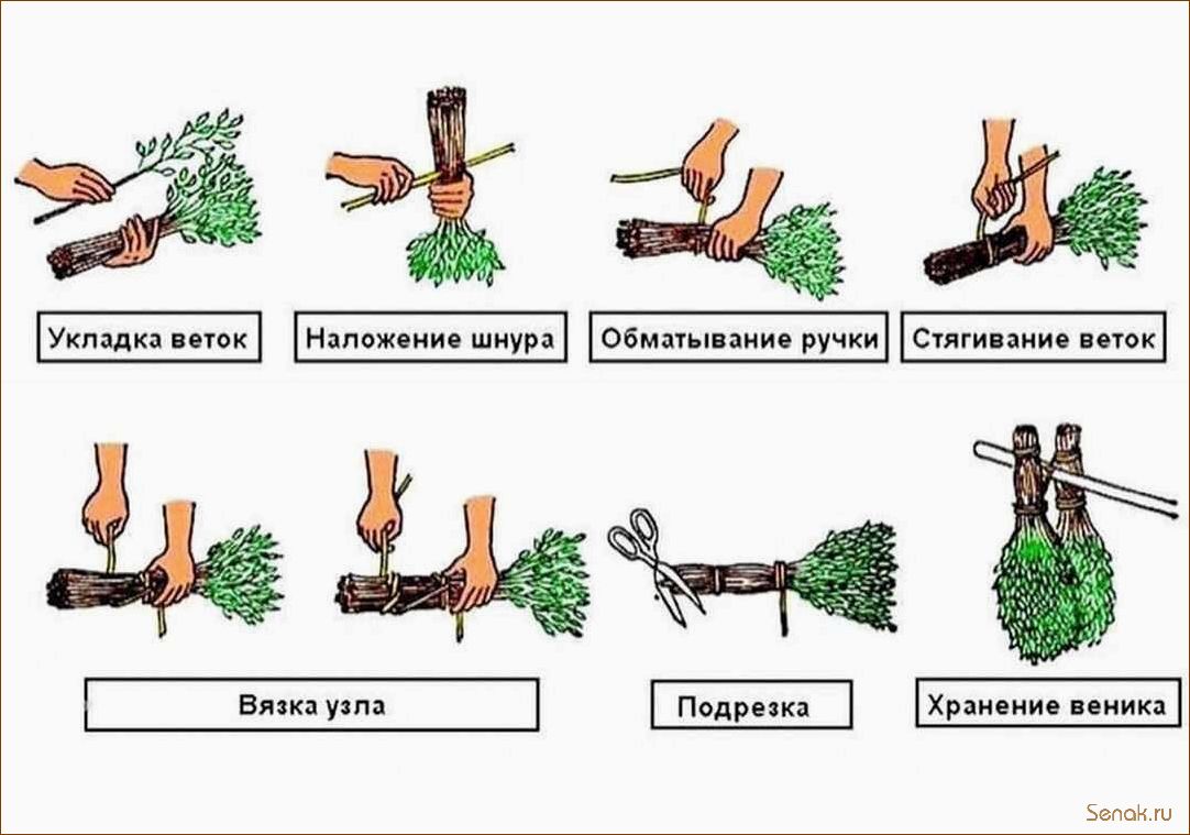 Как правильно запаривать веники для бани