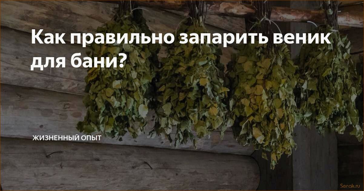 Как правильно запаривать веники для бани