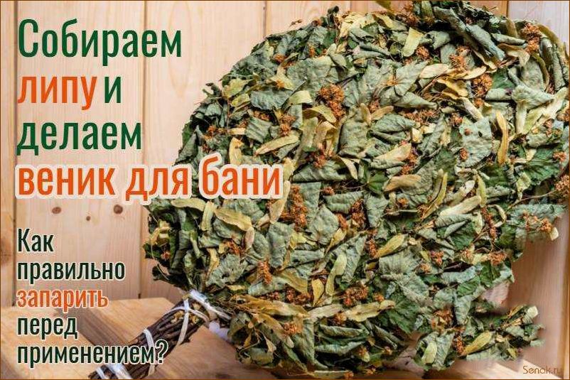 (запарить, пихтовый, веник, бани) Как запарить пихтовый веник для бани