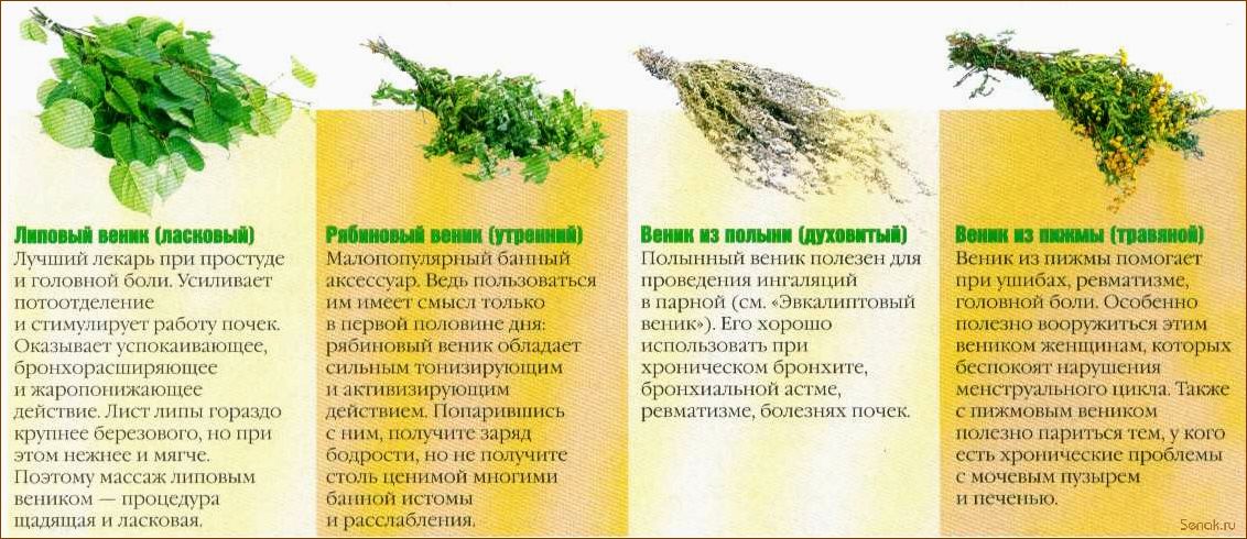 (запарить, пихтовый, веник, бани) Как запарить пихтовый веник для бани
