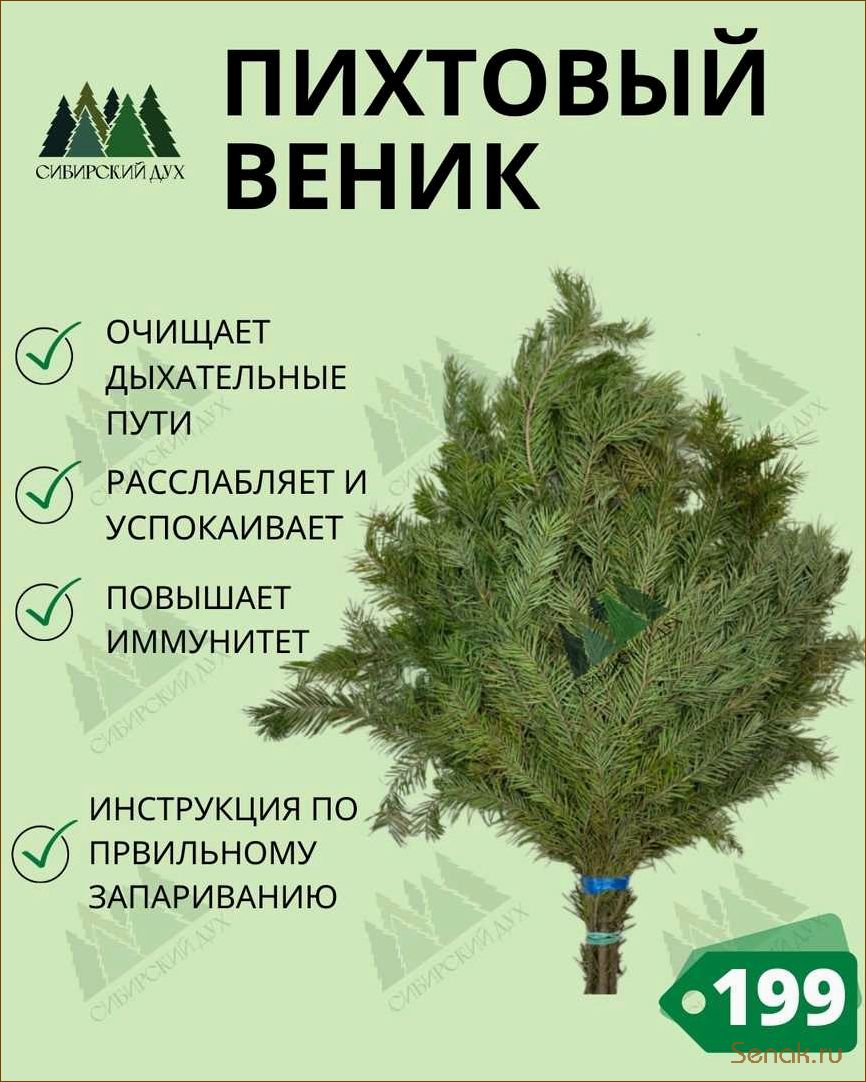 (запарить, пихтовый, веник, бани) Как запарить пихтовый веник для бани