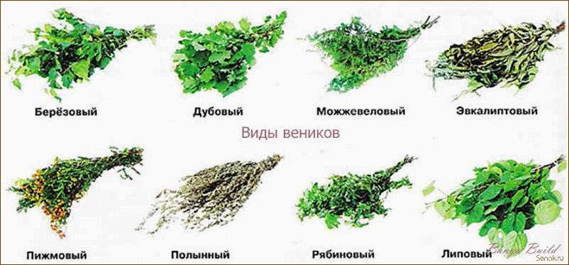 Как выбрать лучший веник для домашней бани