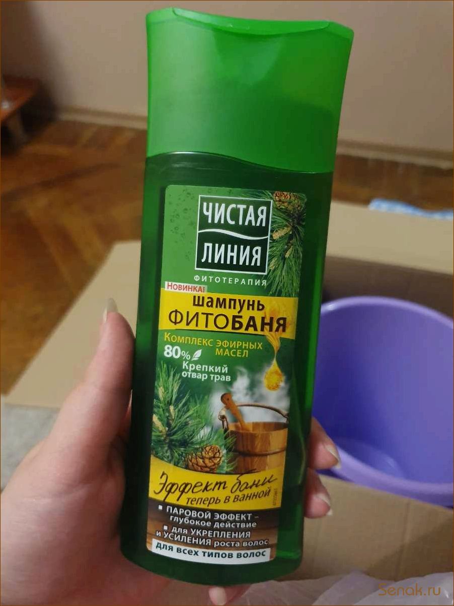 (фитобаня, полезные, свойства, преимущества) Фитобаня: полезные свойства и преимущества