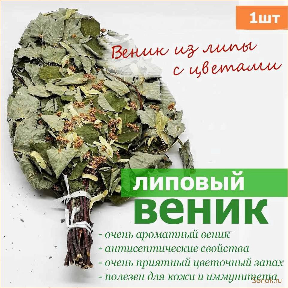 (липовый, веник, преимущества, правила, использования) Липовый веник: преимущества и правила использования