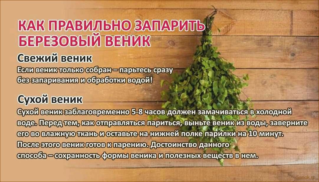 (сколько, использовать, веник, бани) Сколько раз можно использовать веник для бани