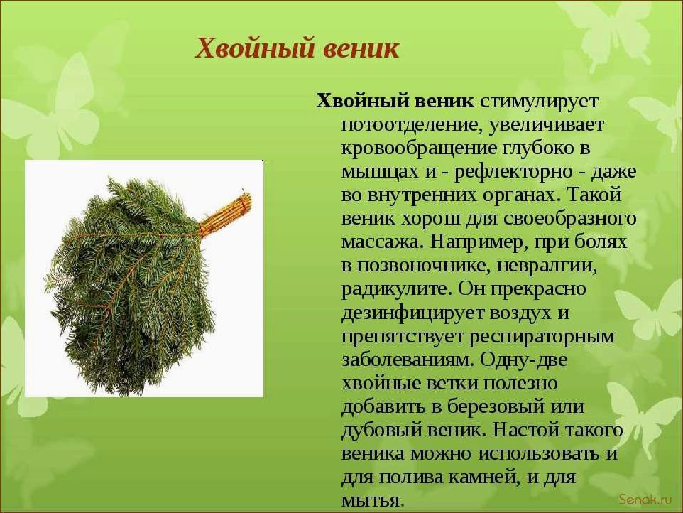 (сколько, использовать, веник, бани) Сколько раз можно использовать веник для бани