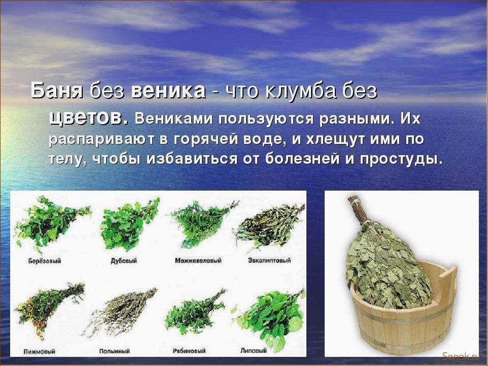 (сколько, использовать, веник, бани) Сколько раз можно использовать веник для бани