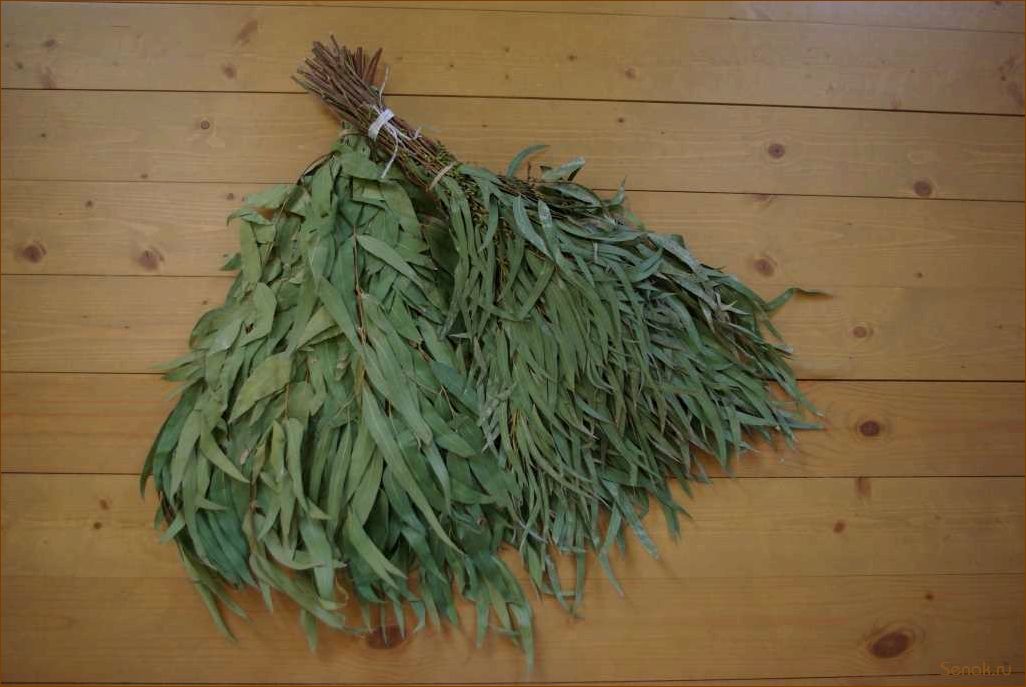 Эвкалиптовый веник